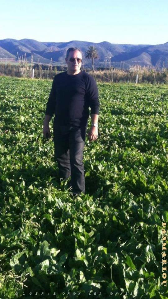 LES ANDALOUSES un champ de piments doux avec Saidou Ellul.jpg